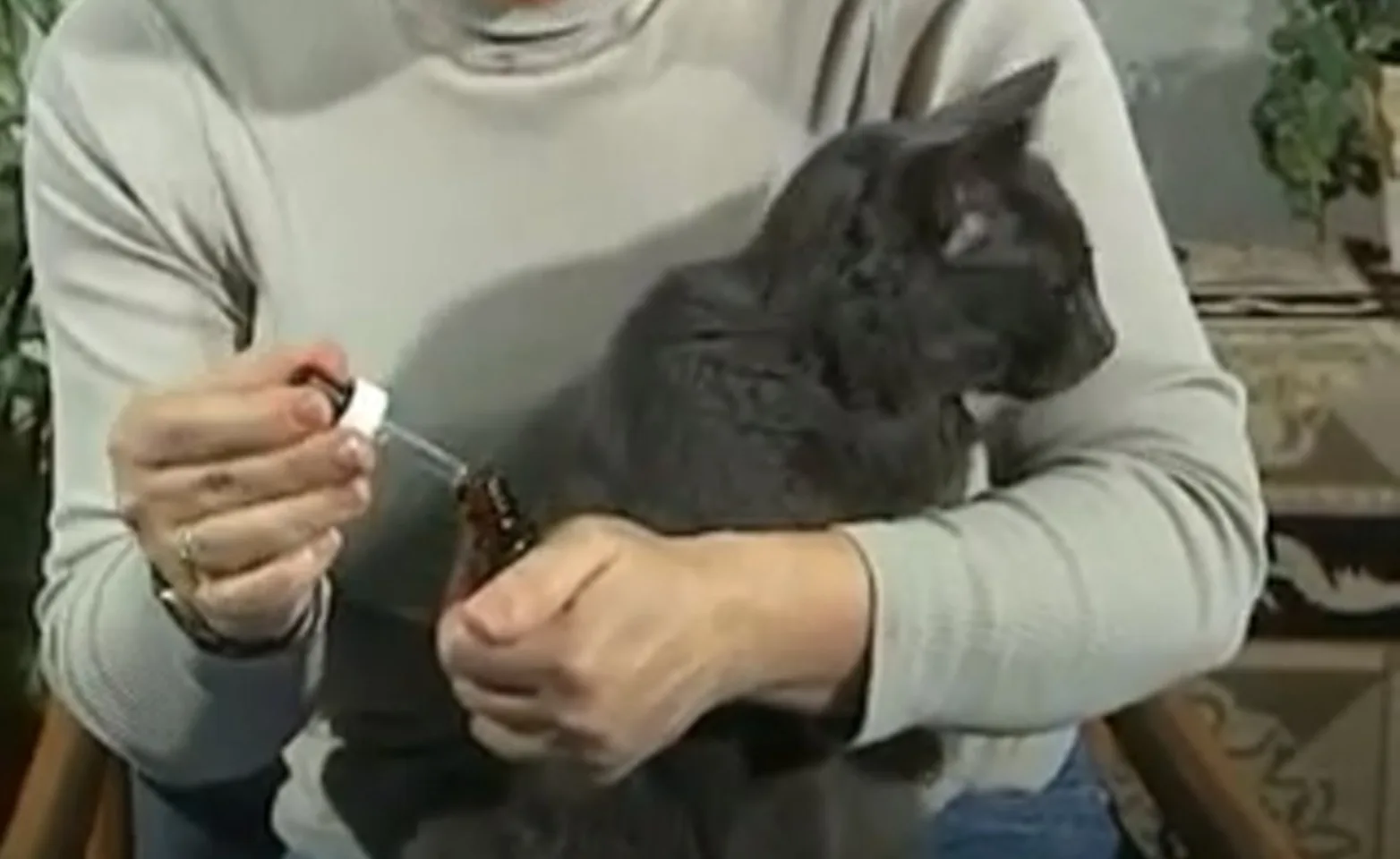 A person administering ear drops to your cat